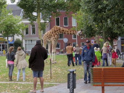 906577 Afbeelding van het publiek dat zich vergaapt aan een giraffe van het Circus Belly, dat de tenten opgeslagen ...
